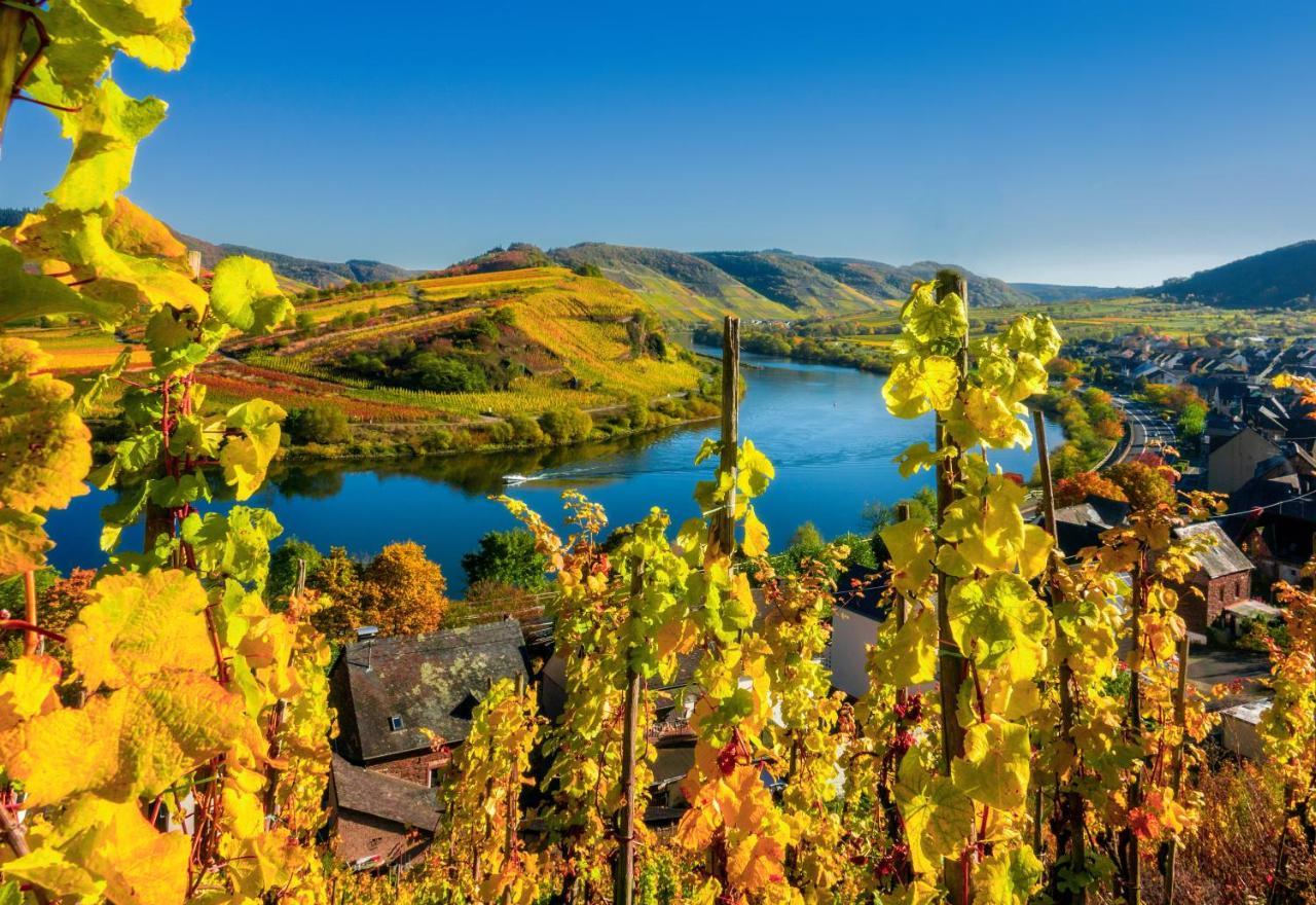 Mosel Village Ośrodek wypoczynkowy Ellenz-Poltersdorf